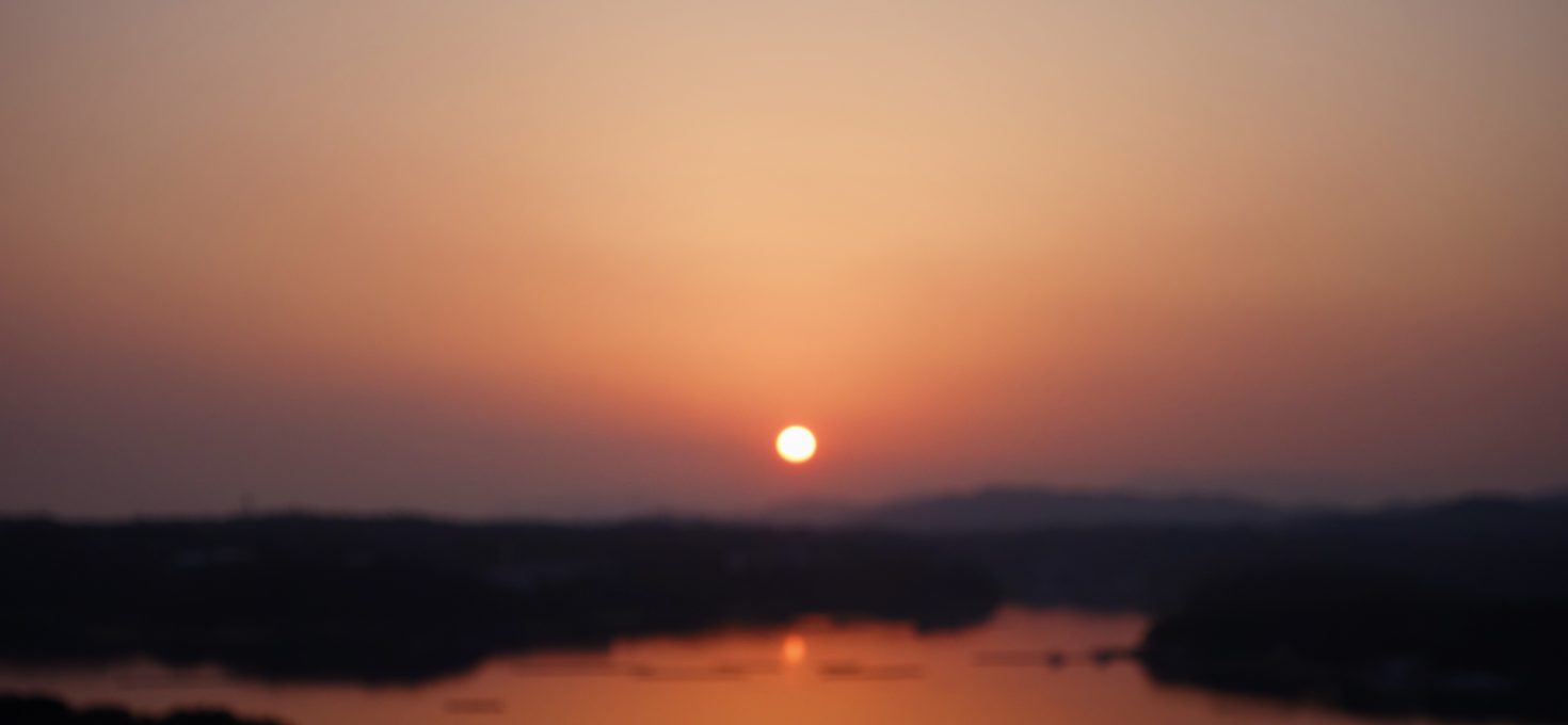 心。感情。
