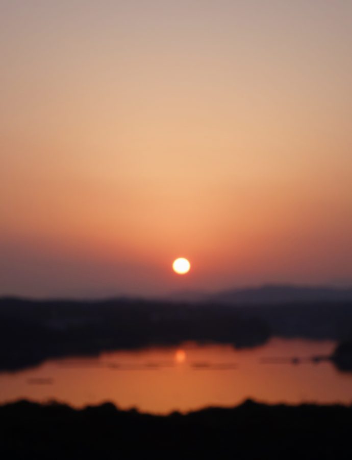 心。感情。
